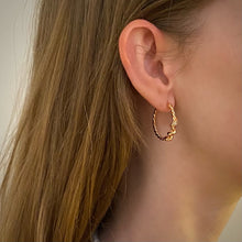 Load image into Gallery viewer, LOLA ROPE PAVED HOOP EARRING