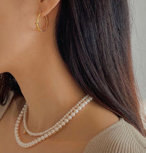 Load image into Gallery viewer, LOLA ROPE PAVED HOOP EARRING