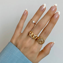 Load image into Gallery viewer, ERES TRIPLE PAVED MATTED FINISH CHAIN RING